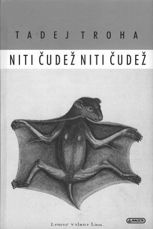 Niti čudež niti čudež