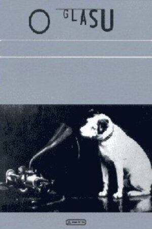 O glasu