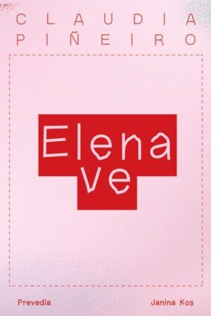 Claudia Piñeiro - Elena ve